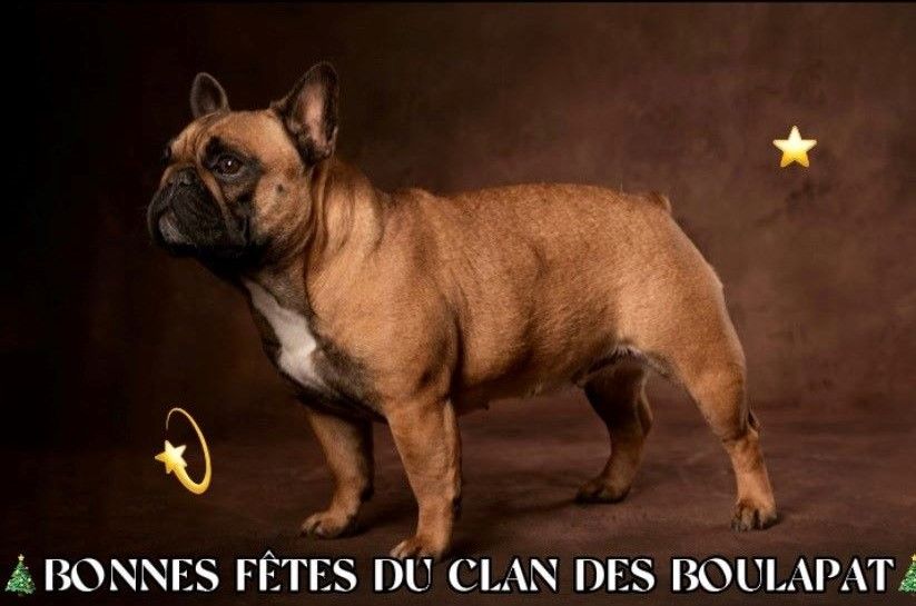 Romy dite dakota du clan des Boulapat