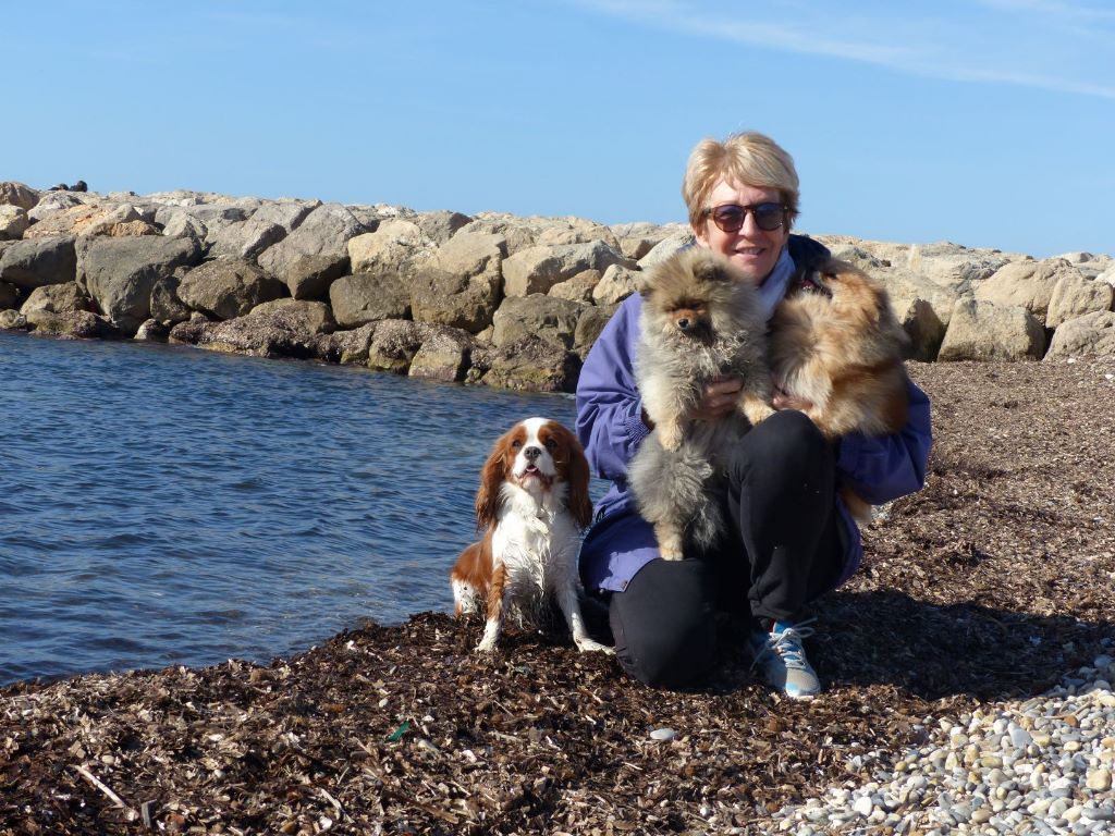 du clan des Boulapat - Retour en bord de mer..........